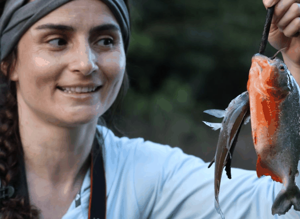 Red-bellied piranha